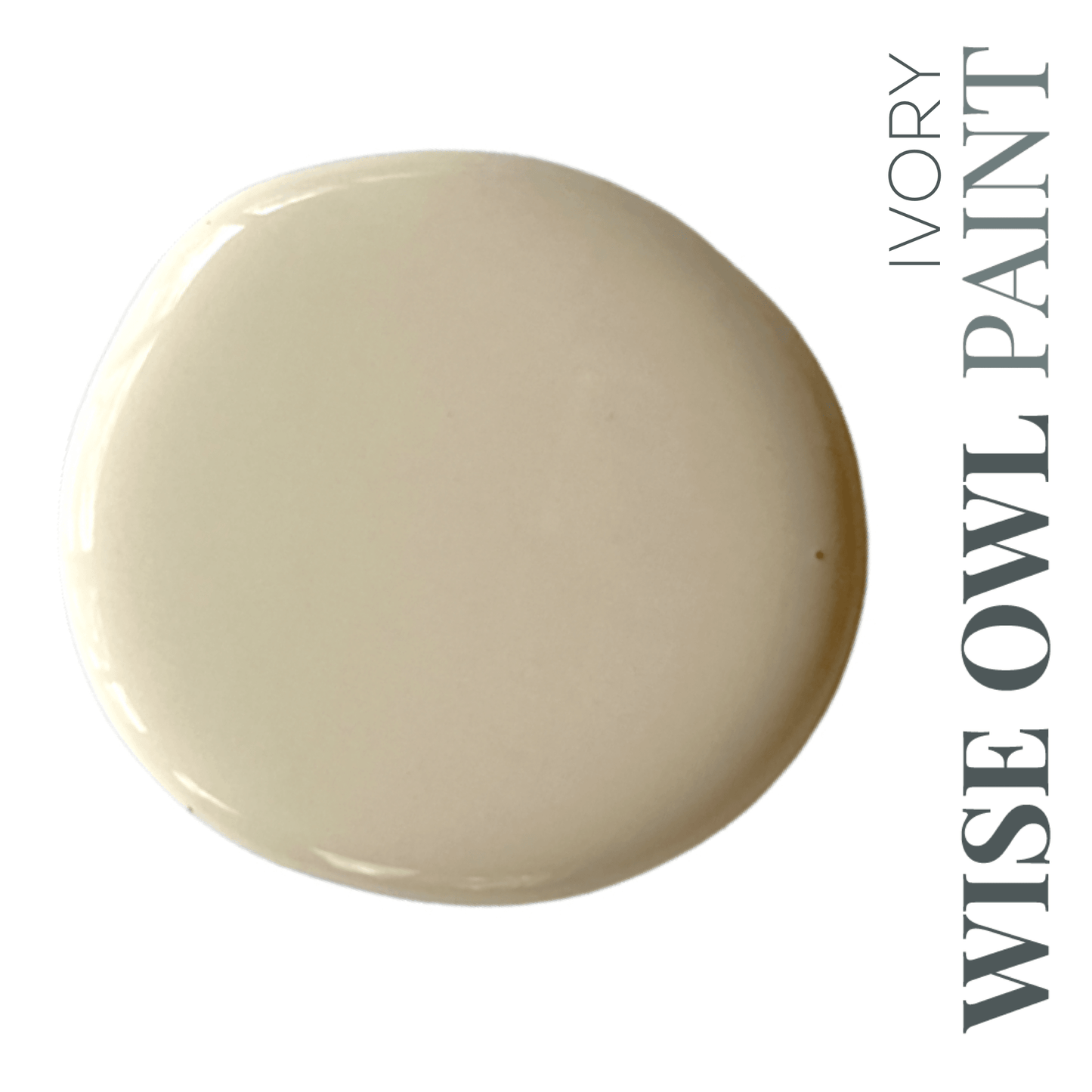 Wise Owl Chalk Synthesis Paint (Pint/16oz.) - The 3 Painted Pugs