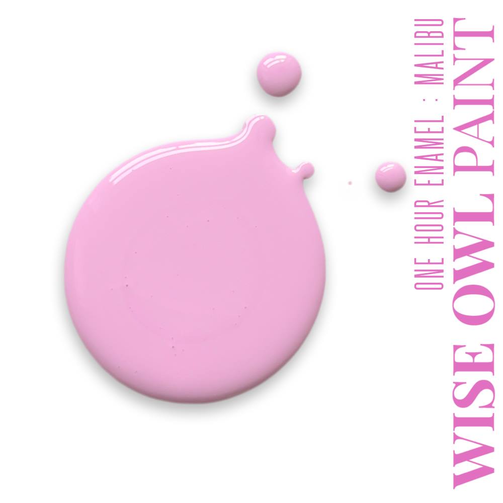 Wise Owl One Hour Enamel Paint Malibu (LIMITED EDITION) - The 3 Painted Pugs