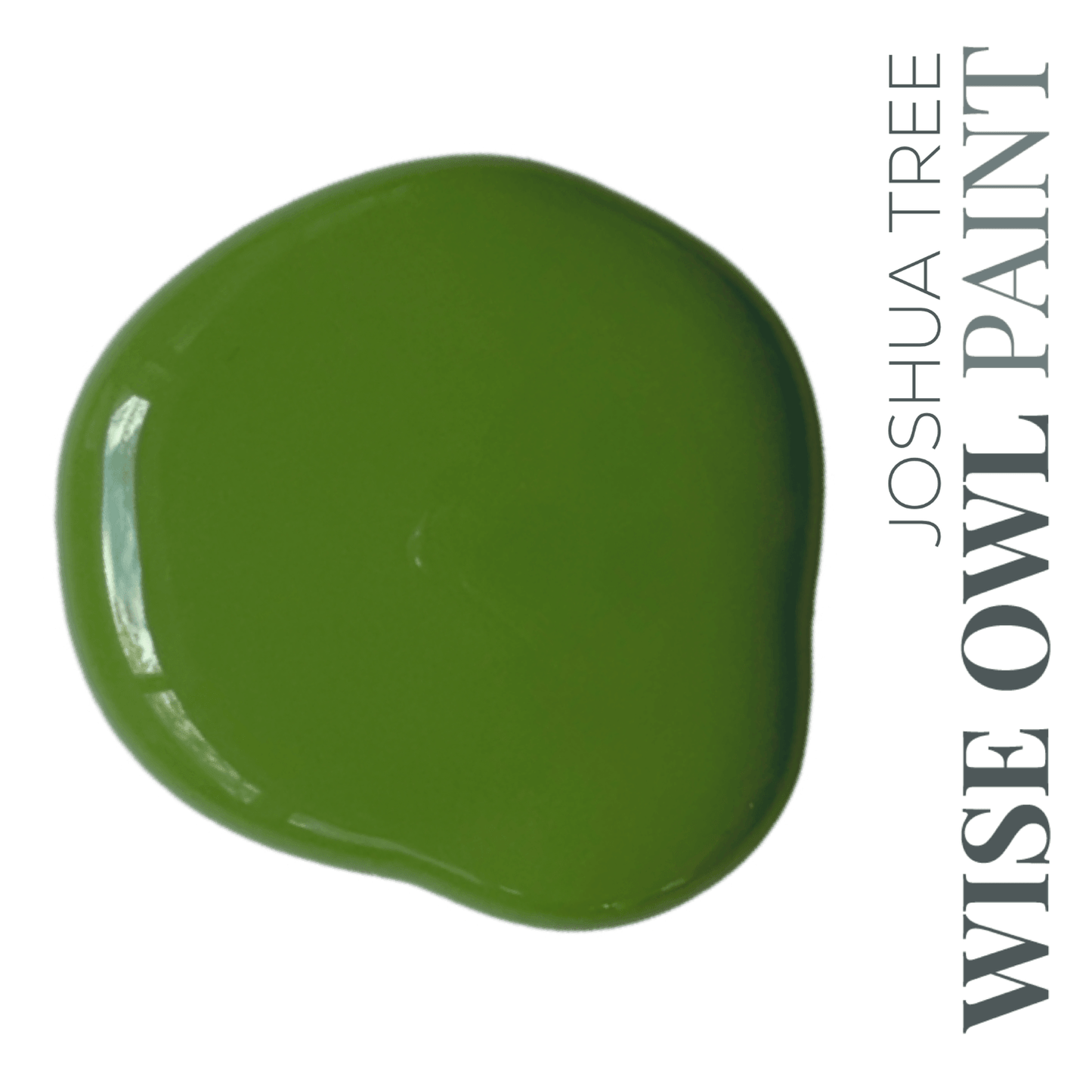 Wise Owl Chalk Synthesis Paint (Pint/16oz.) - The 3 Painted Pugs