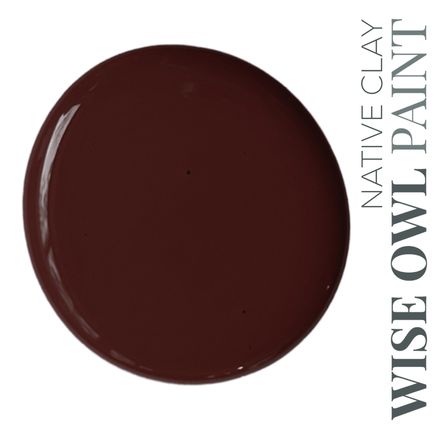 Wise Owl Chalk Synthesis Paint (Pint/16oz.) - The 3 Painted Pugs