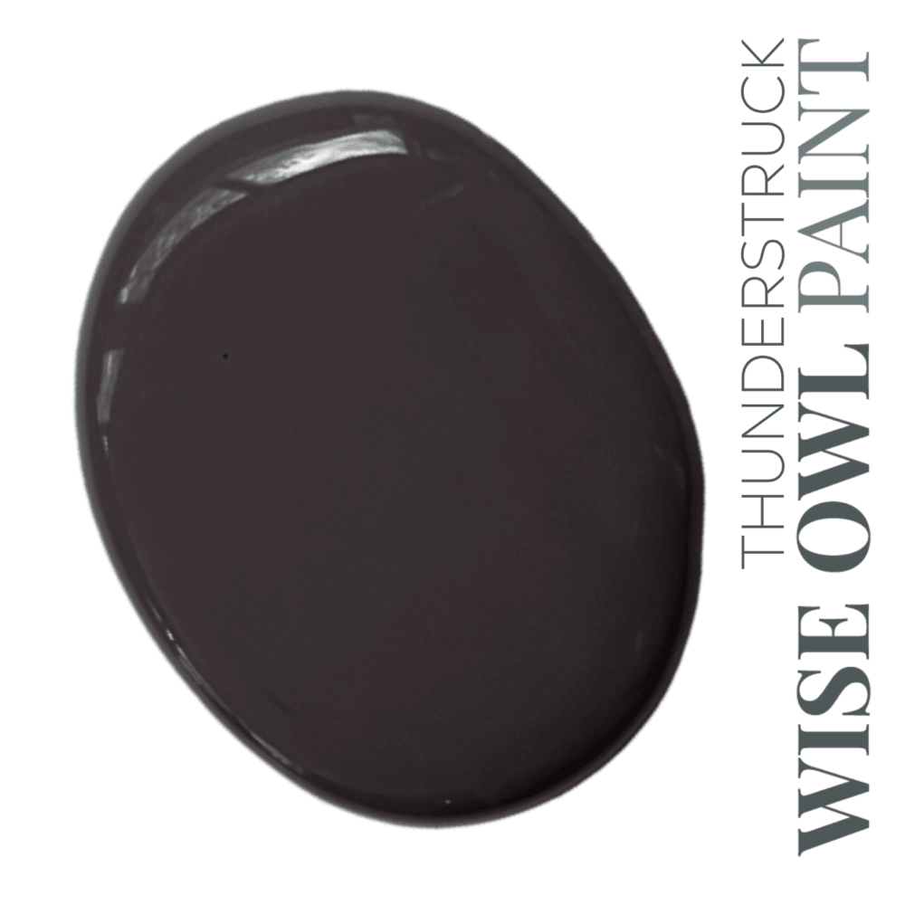 Wise Owl Chalk Synthesis Paint (Pint/16oz.) - The 3 Painted Pugs