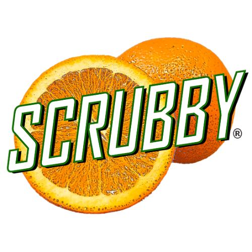 Scrubby Soap - The 3 Painted Pugs