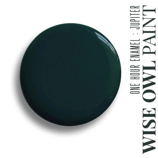 Wise Owl One Hour Enamel Paint - Jupiter