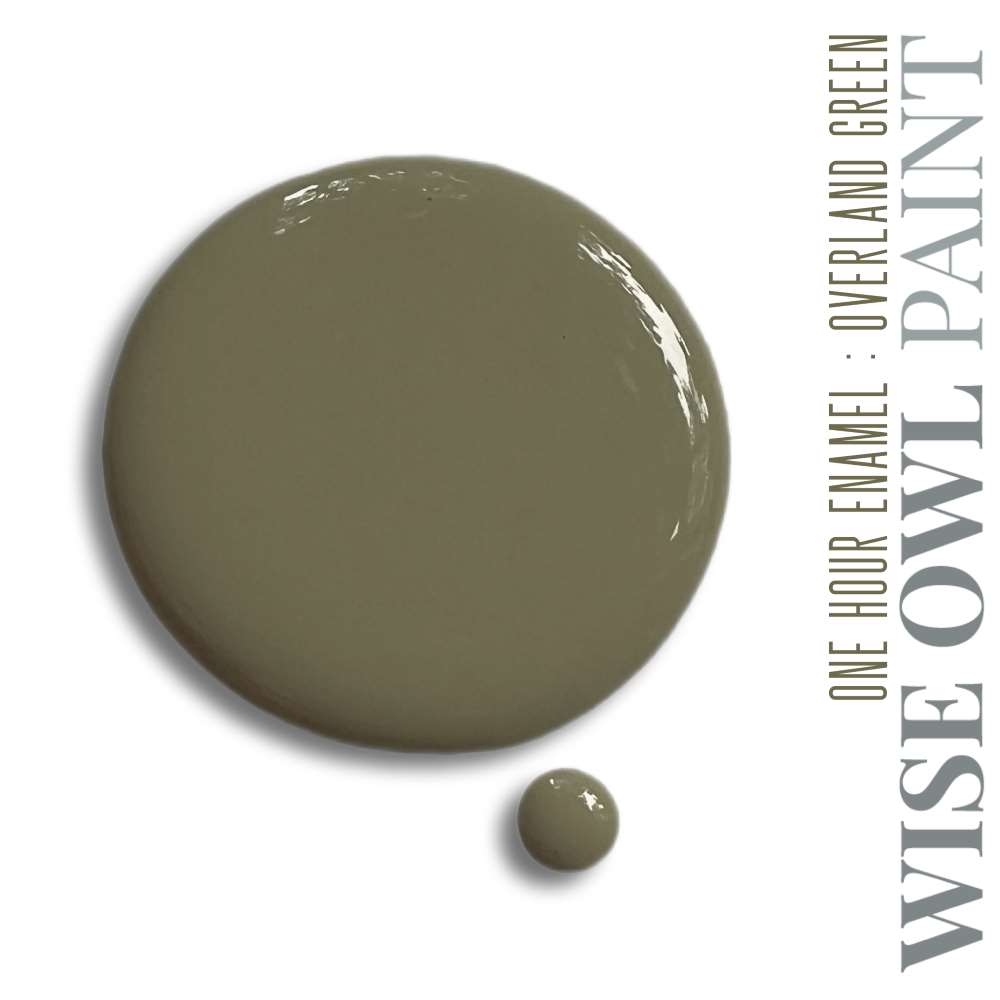 Wise Owl One Hour Enamel Paint Overland Green - The 3 Painted Pugs